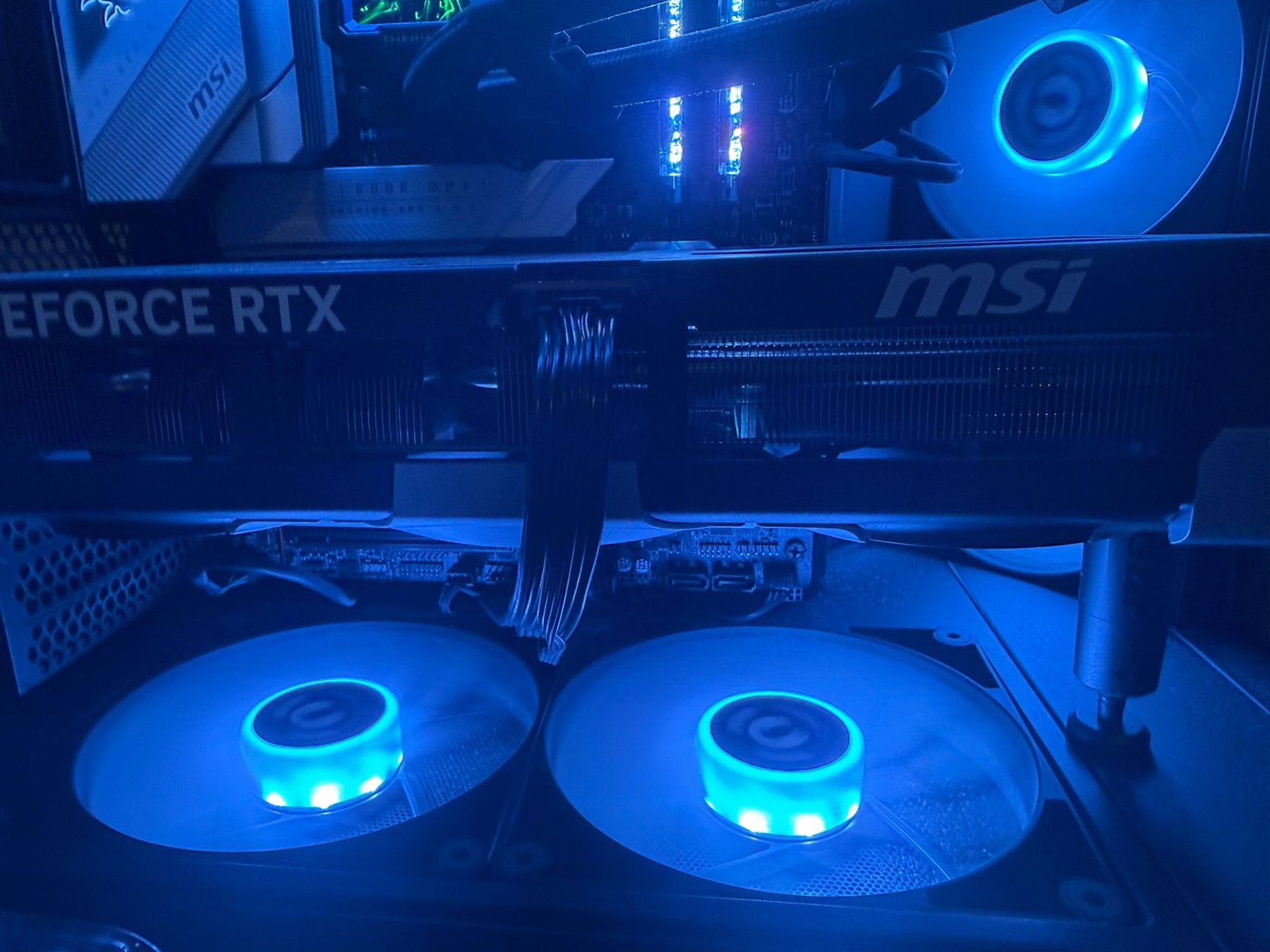 MSI Schede grafiche: msi rtx 5090 ventus 3x oc – Usato da Schlieren venduto da and_9h7x