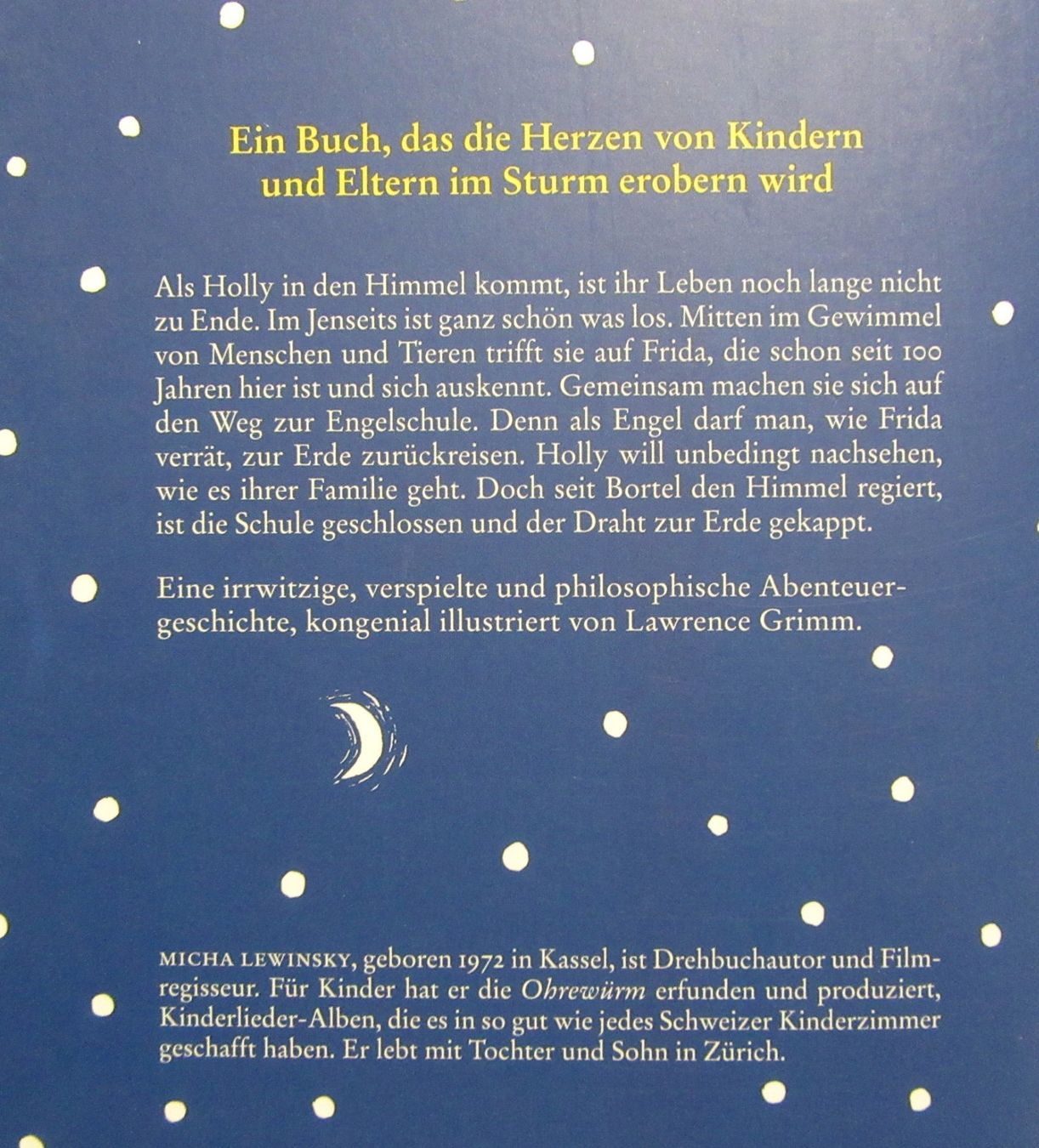 Libri: Holly im Himmel - von Micha Lewinsky – Usato da Auenstein venduto da Padabimbim 1