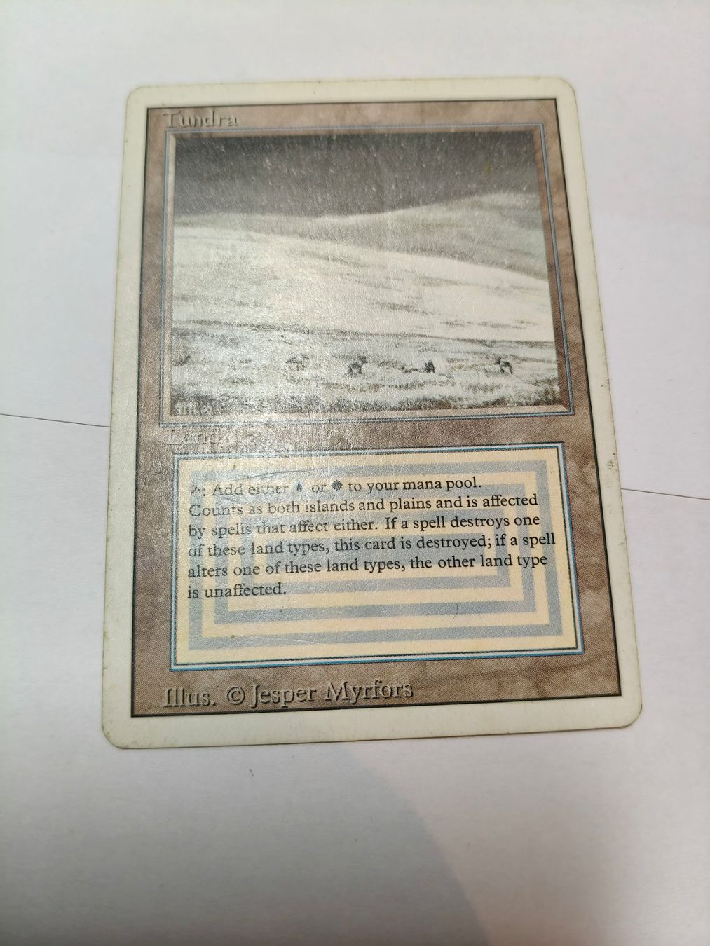 Magic The Gathering Sammelbilder & Trading cards: Tundra - Revised – Gebraucht aus Zürich von schafi1980