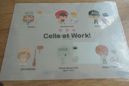 Cells at Work Anime - Clear File Mäppli