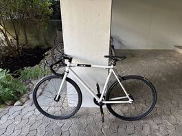 Rennrad Fixie Inc. Singlespeed - Weiss