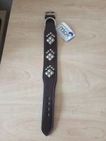 Hundehalsband Leder mit Metal Nieten Gr.S 37 bis 42cm Braun 