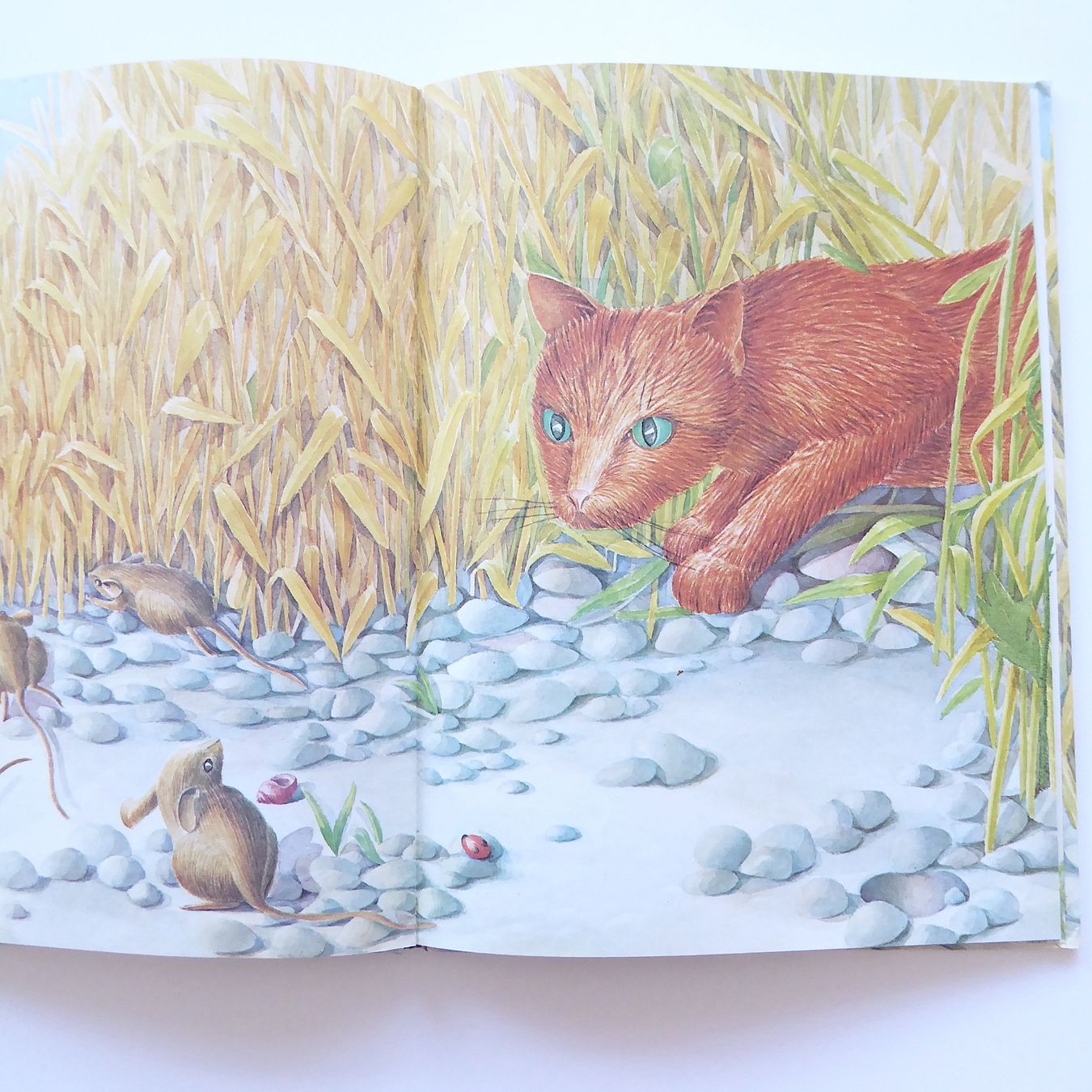 Libri: Die Maus, die an das Gute glaubte – Usato da Basel venduto da Kunterbunt12 4
