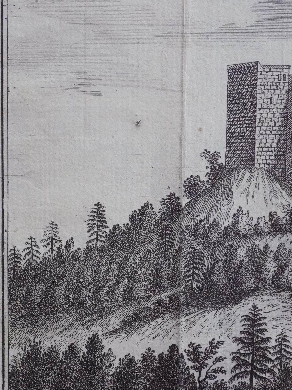 Stiche: Habsburg Kupferstich selten – Gebraucht aus Risch von Rischli15 5
