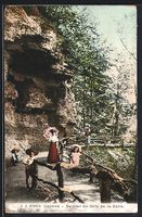 AK Genève, Sentier du Bois de la Bâtie