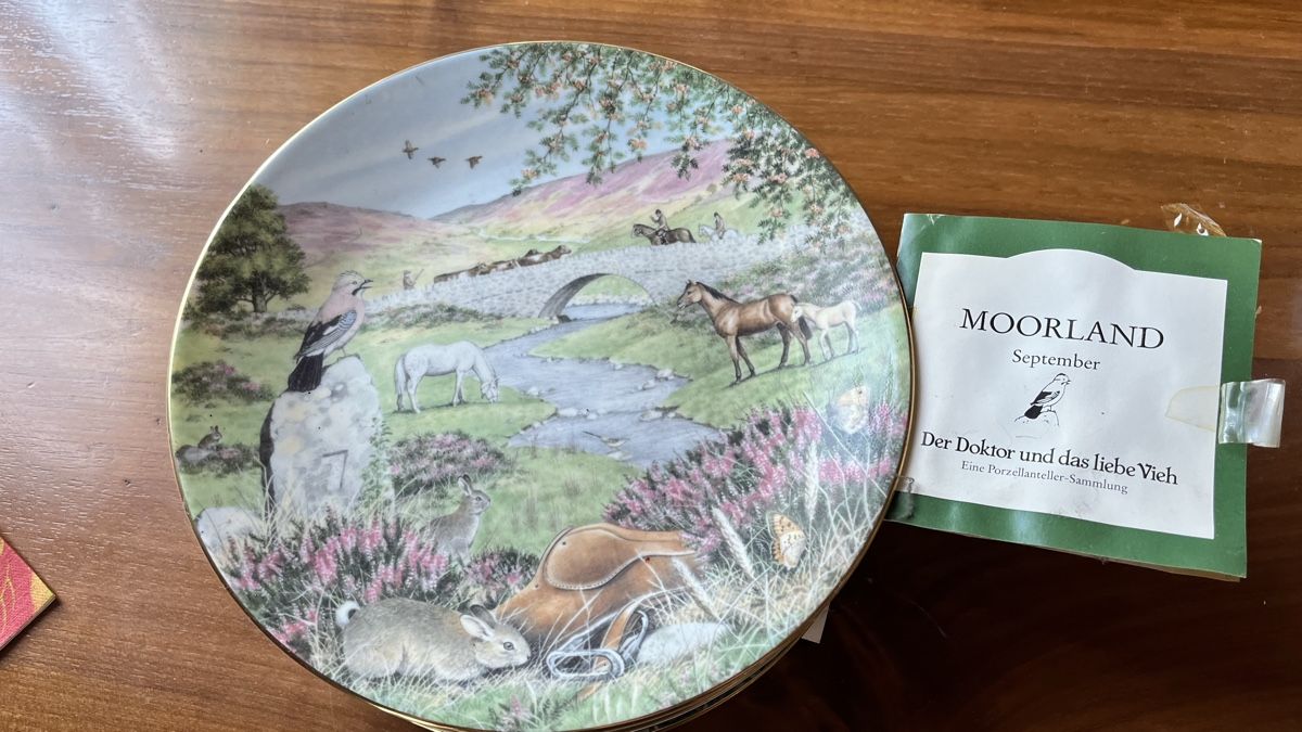 Tutte le decorazioni: Porzellanteller-Sammlung – Nuovo (secondo la descrizione) da Appenzell venduto da nana33 9