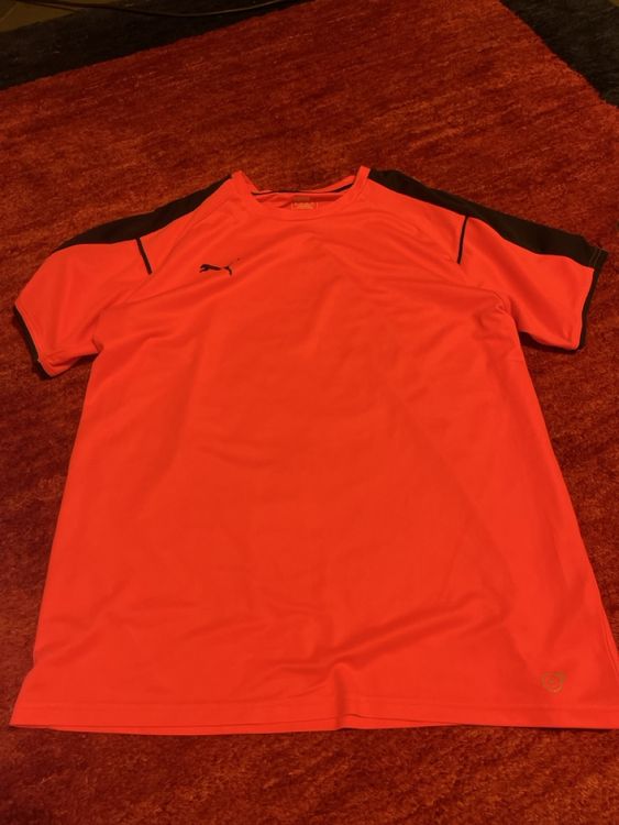 Puma Trainingsshirt Grösse XL, EVO TRG, Top Zustand! (Neu (gemäss ...