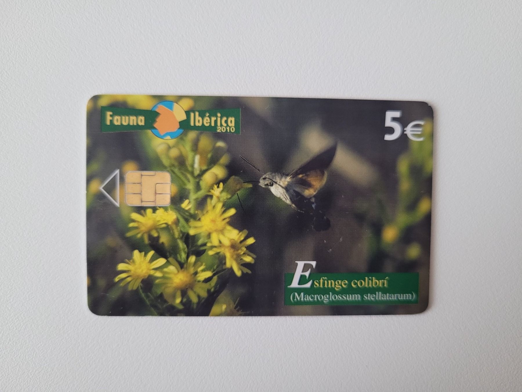 Cartes de téléphone: Telefonkarte Spanien "Vogel" – D'occasion à Inwil par Flower2325