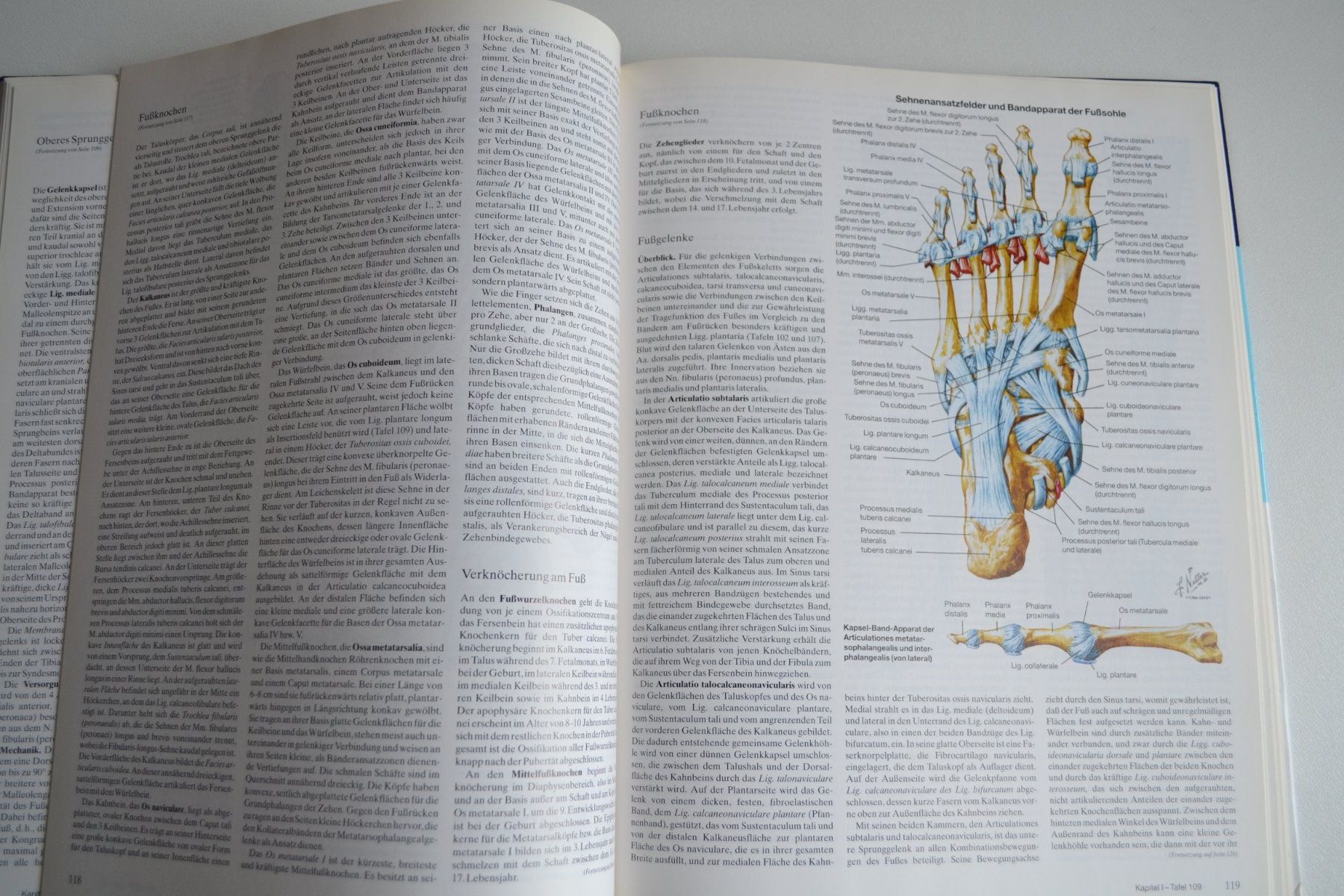 Bücher: Farbatlanten der Medizin 256 Seiten – Gebraucht aus Beinwil am See von kajak55 5