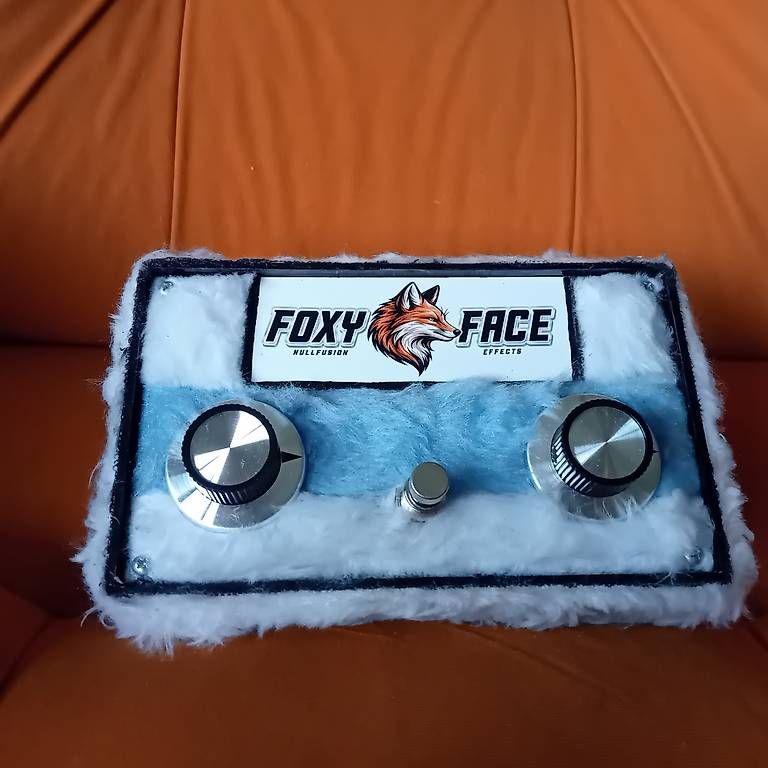 Strumenti musicali: Nullfusion Foxy Face "Snow" – Usato da Arni AG venduto da Rafael5179 4