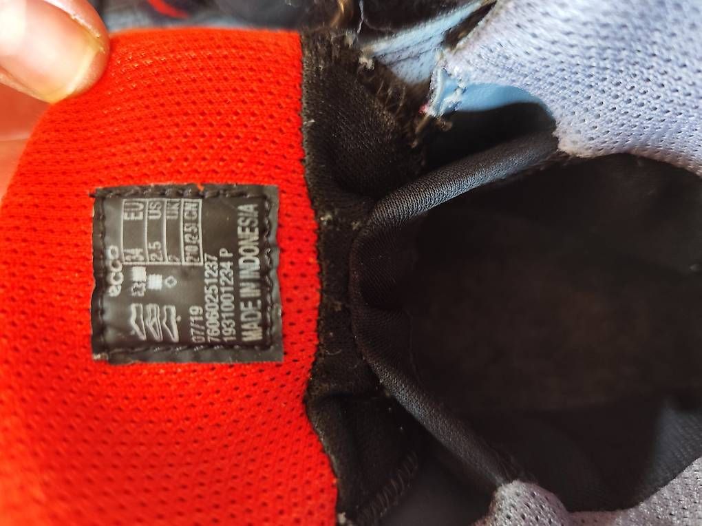 Scarpe per ragazzi: Kinder Wanderschuhe Ecco Gr. 34 – Usato da Thusis venduto da phil_gr 3