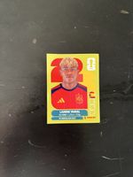 Panini 
