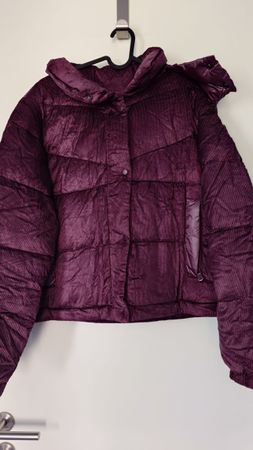 HOX Daunenjacke Violett Grösse XL