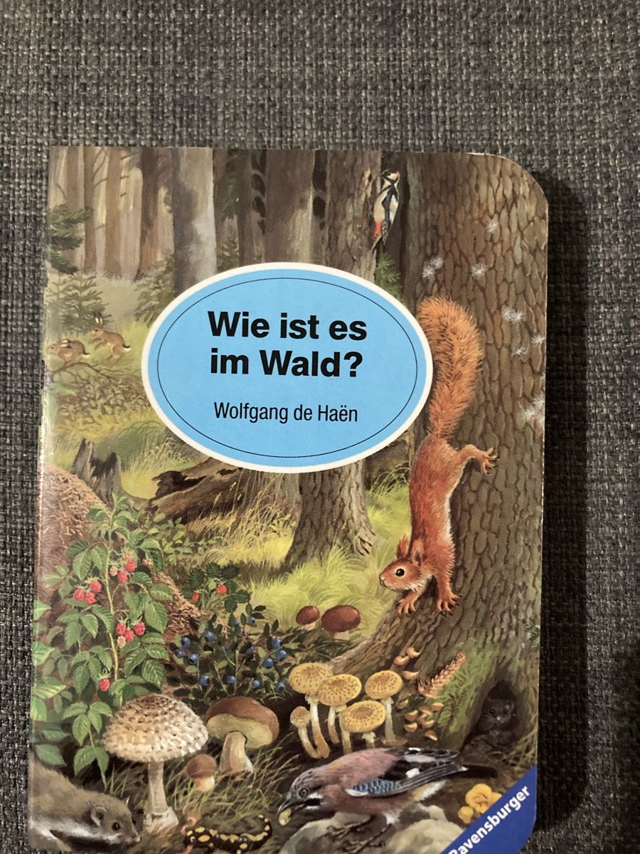 Livres: Mini Wimmelbuch Im Wald – D'occasion à Zürich par Ekka
