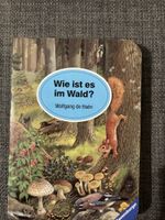 Mini Wimmelbuch Im Wald