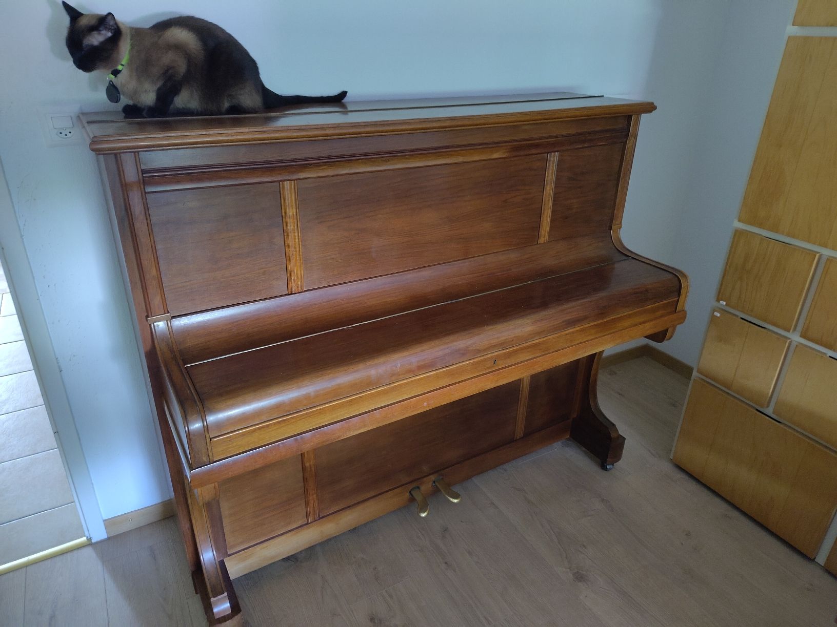 Strumenti musicali: Piano Burger & Jacobi, circa 1900-1920 – Usato da Fribourg venduto da Syxal 3