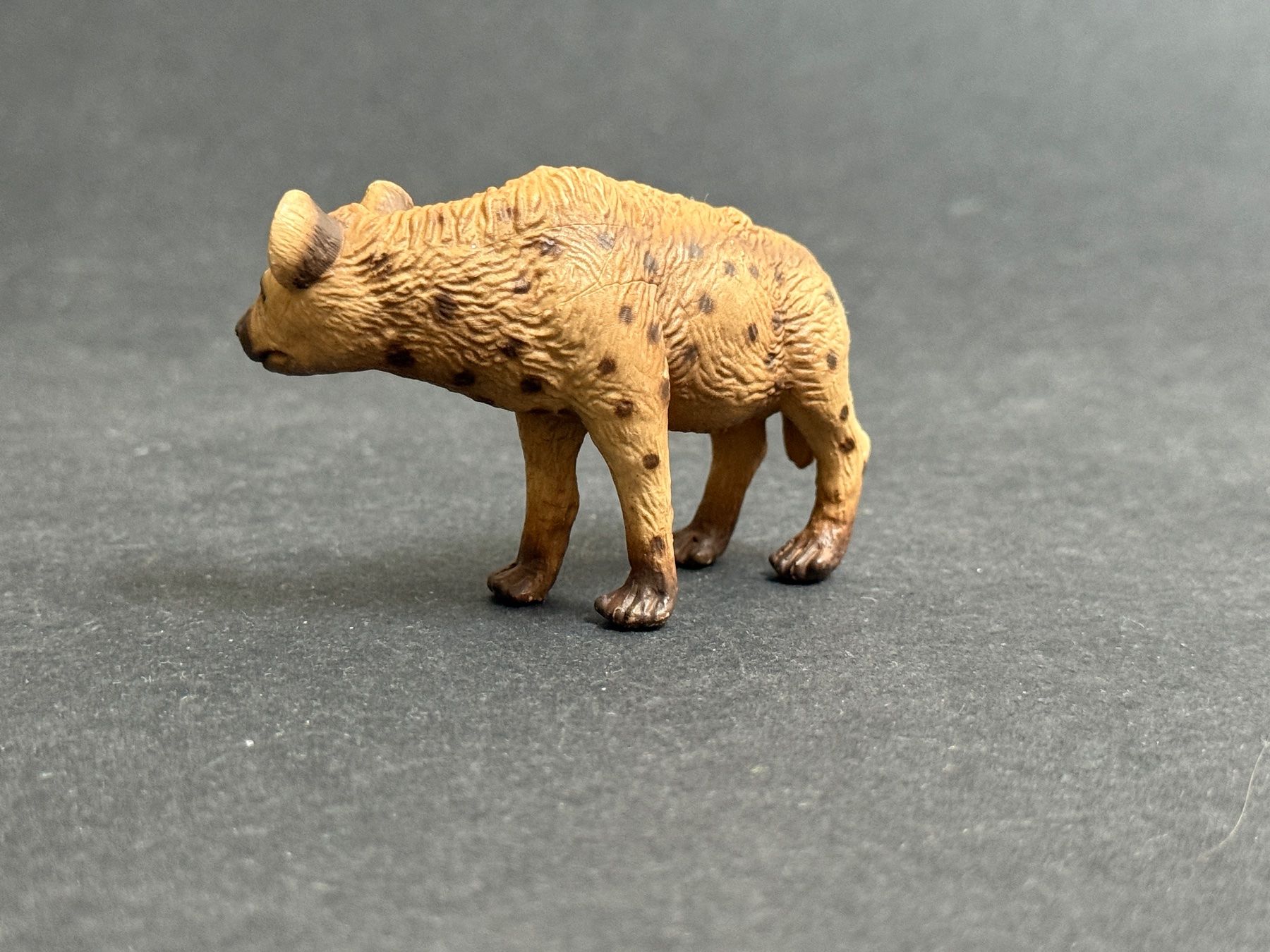Schleich Statuette: Schleich Hyäne 1996 made in Germany Tüpfelhyäne – Usato da Ennetbaden venduto da mapa05 3