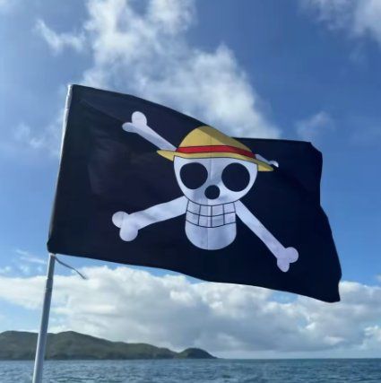 Bandiere: One Piece Flagge 90x150cm – Nuovo e nell'imballaggio originale da Hohentannen venduto da TeamMagma