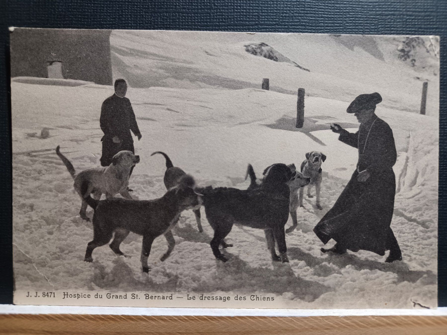 Cartoline postali: VS, "Hospice du Grand St. Bernard" No.8471 – Usato da Aarau Rohr venduto da mgvw