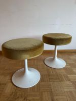 Hocker tulip