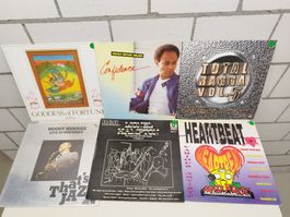 Diverse Schallplatten Sammlung, verschiedene Genres, 12 Stk