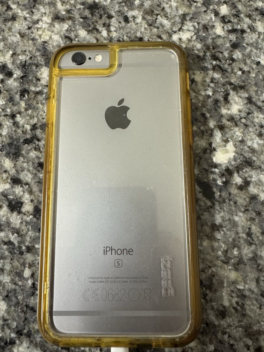 Apple Telefoni cellulari / Smartphones: iPhone 6s – Usato da Wollerau venduto da AM.77 1