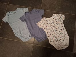 3 Baby Bodys, Lupilu, Gr. 86/92