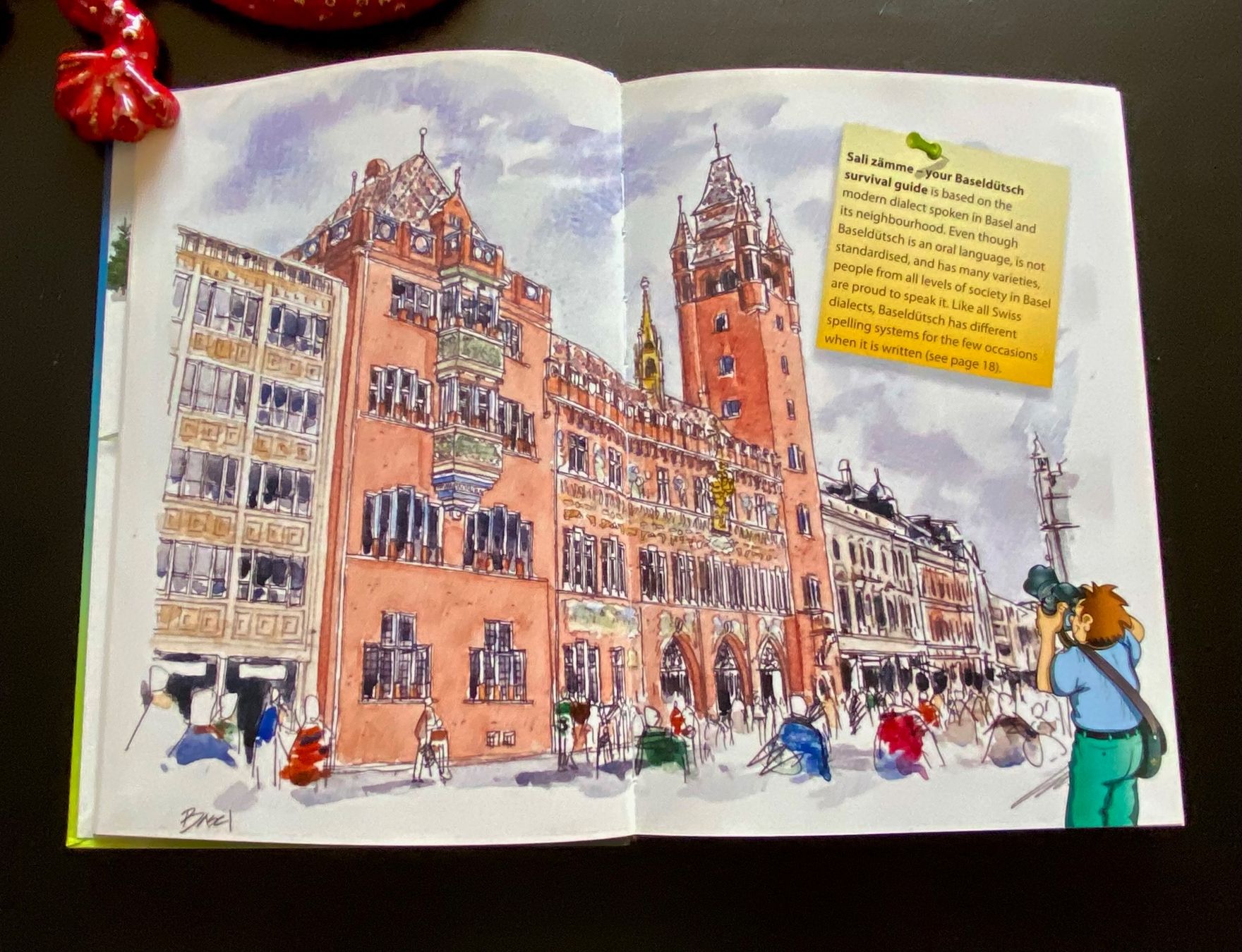 Bücher: Sali zämme your Baseldütsch survival guide – Gebraucht aus Nussbaumen AG von schuba2000 6