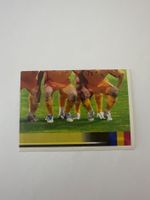 Panini UEFA EM 2008 Sticker - Nr. 310