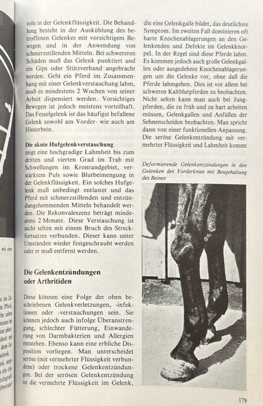 Libri: Sevelius Fritz, So bleibt dein Pferd gesund – Nuovo (secondo la descrizione) da Sarnen venduto da Livres 7