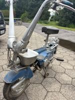 Motograziella Cheeky Boy Mofa Scheunenfund zum restaurieren