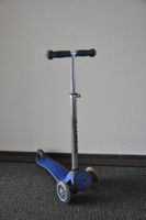 Kickboard Globber für Anfänger