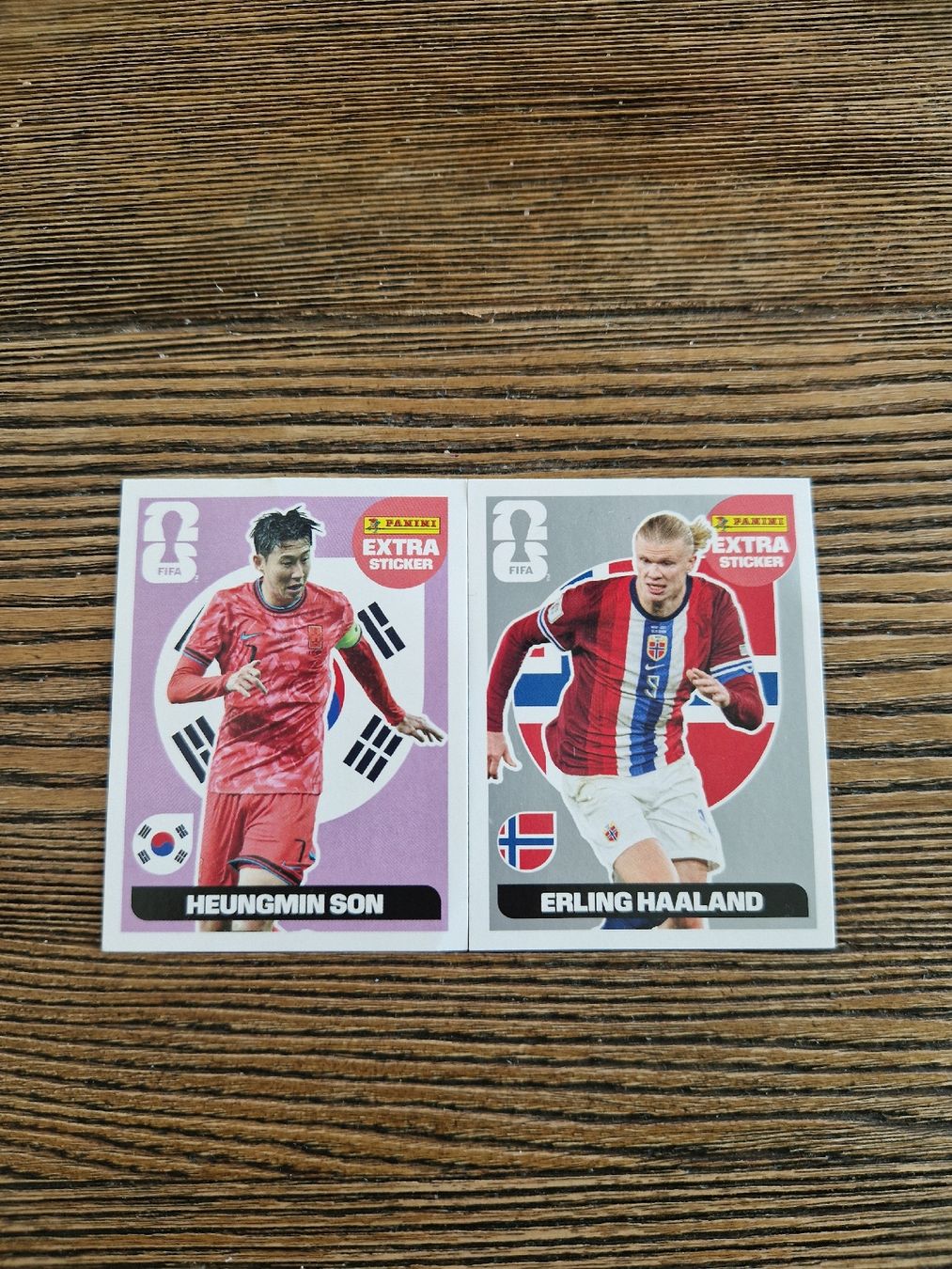 Panini Carte collezionabili: Panini Haaland Silber – Nuovo (secondo la descrizione) da Würenlos venduto da Pascih19
