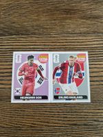 Panini Haaland Silber