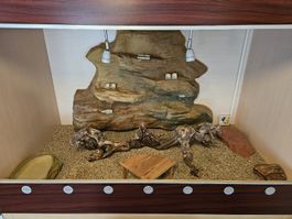 Terrarium mit Unterschrank und Zubehör, kaum gebraucht Top!