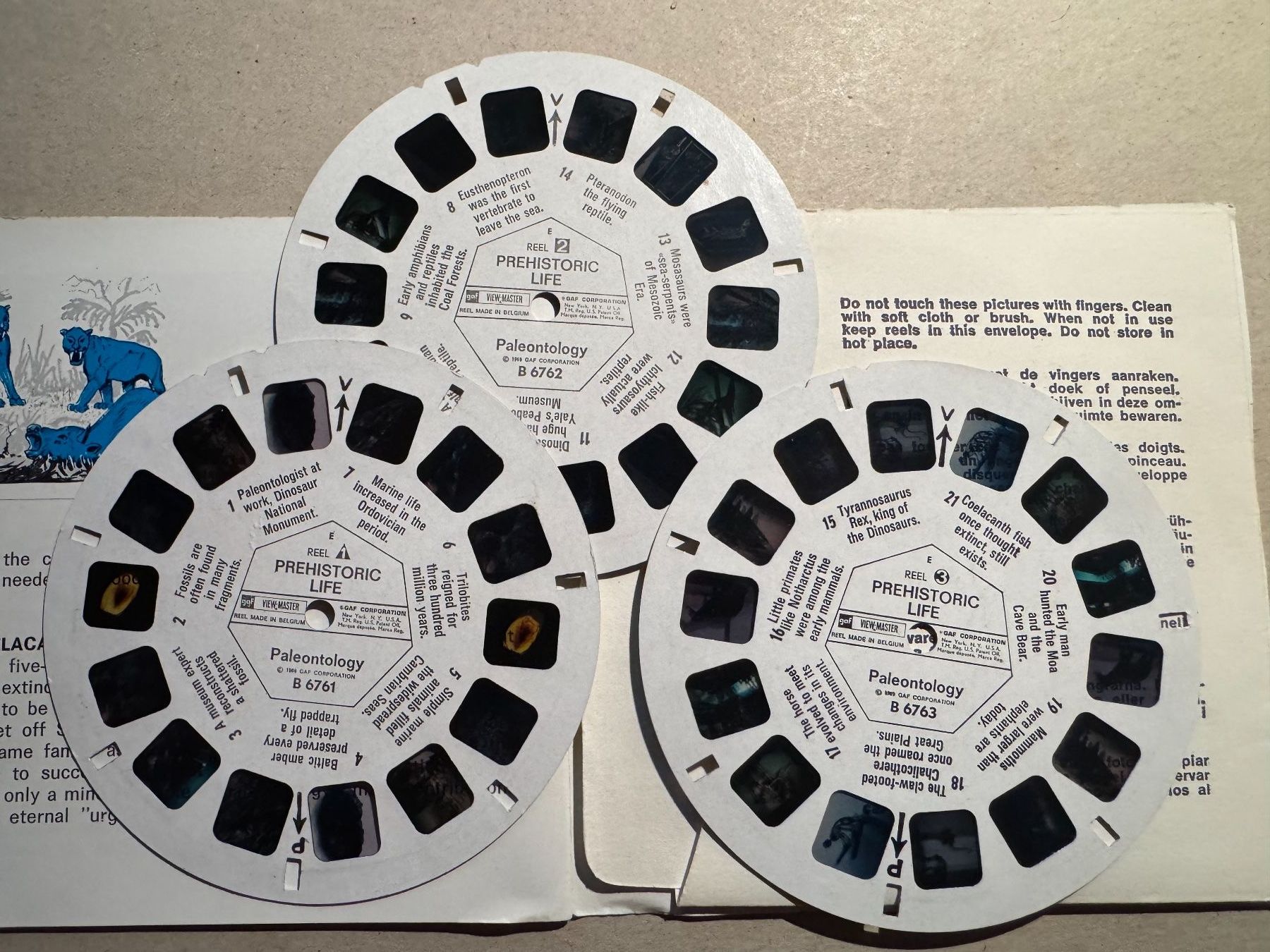 View-master Spielzeuge: View-Master 3D: Nr. B-676 PREHISTORIC LIFE – Gebraucht aus Tegerfelden von siebenmacky 2