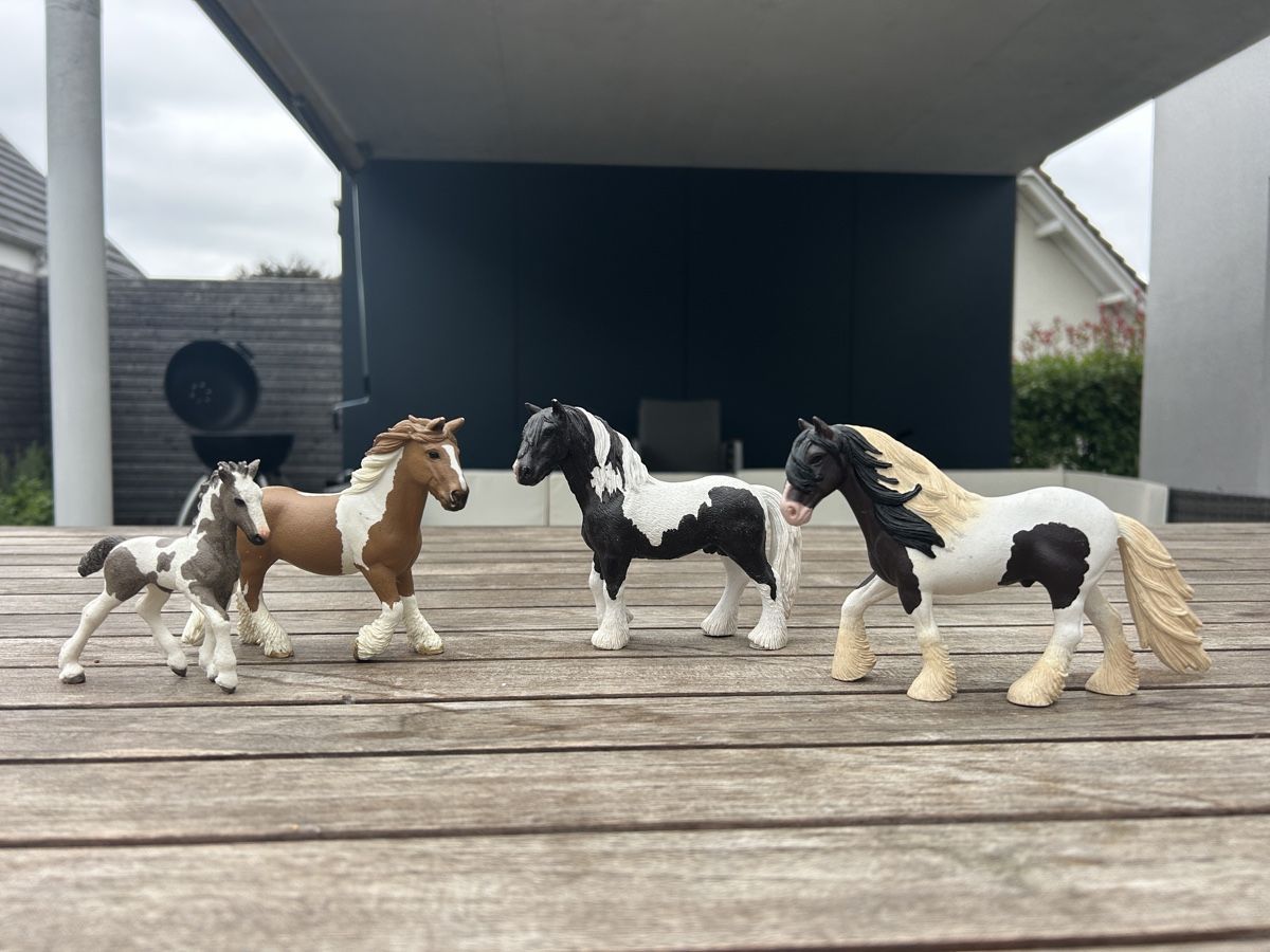 Schleich Jouets: Schleich Pferde, Tinker – D'occasion à Mägenwil par Australia19 4