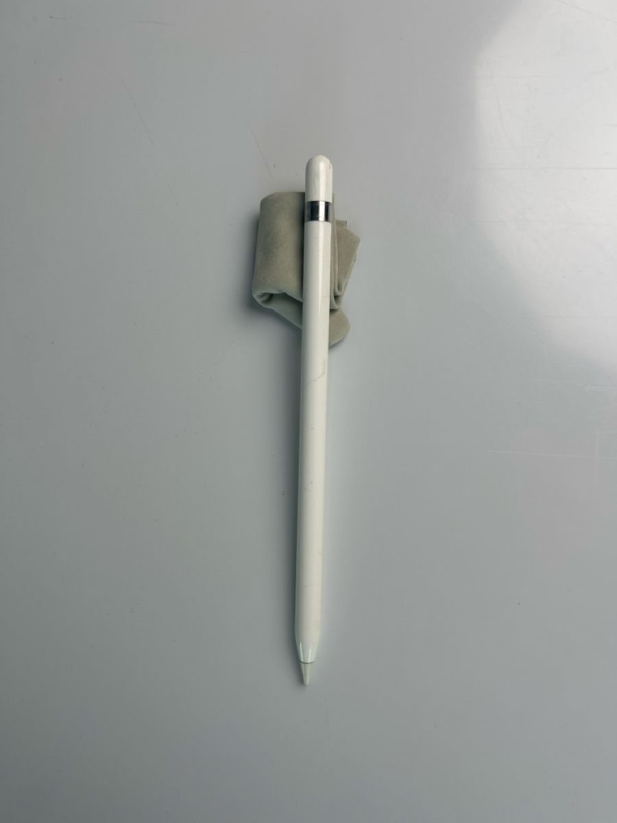Apple Penna & Evidenziatori: Apple Pencil V1 – Usato da Bern venduto da hi5_zp6w 1