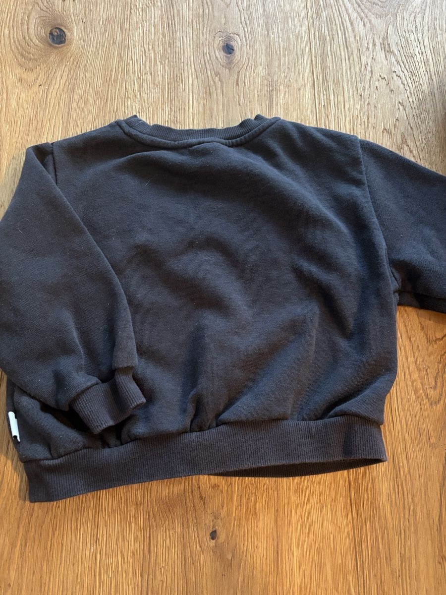 H&M Lotti & Set di vestiti: Harry Potter Hedwig Kinder Pullover 92 – Usato da Biel-Benken BL venduto da frauvomfluss 5