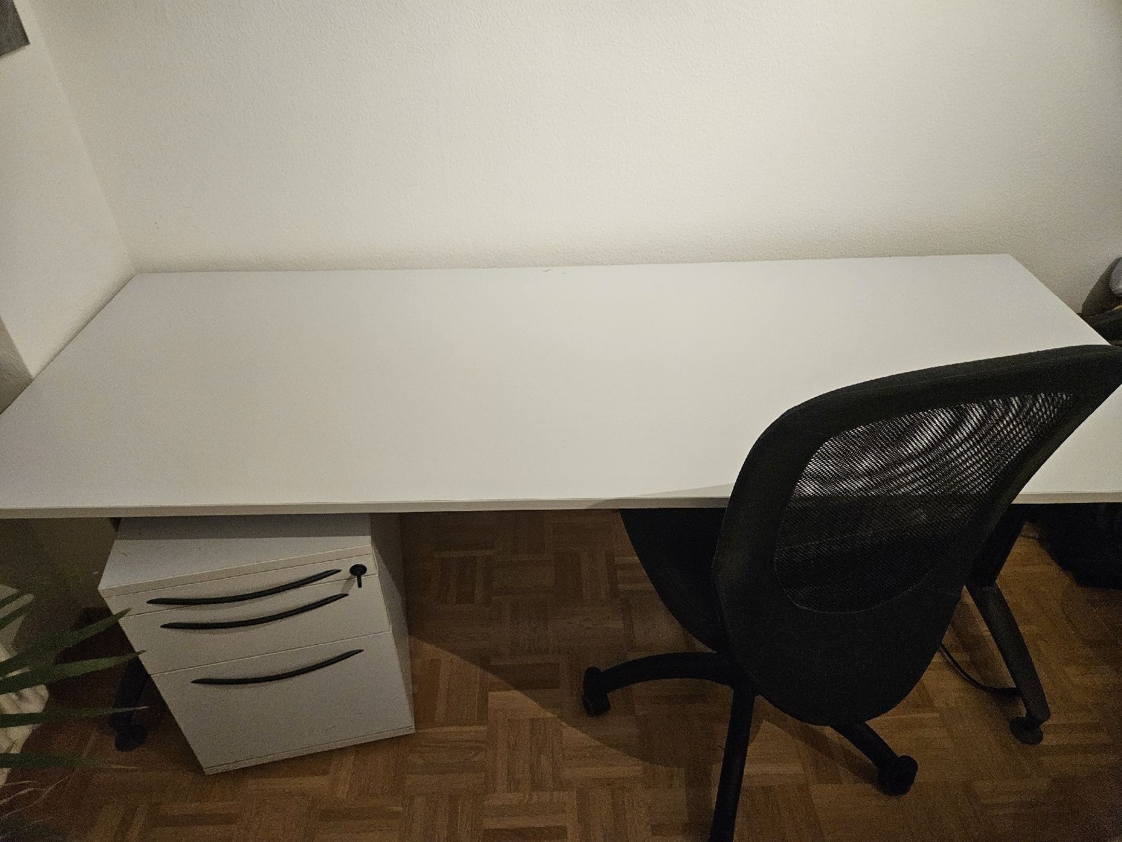 Scrivanie: Bürotisch 80x200cm – Usato da Bern venduto da coc_np5s