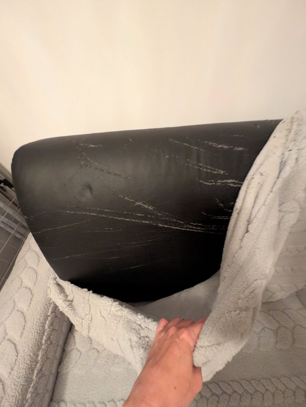 Sofas: Bettsofa – Gebraucht aus Zürich von myko1987 4