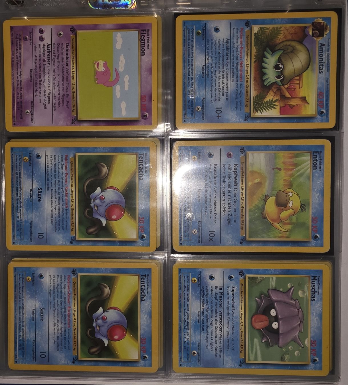 Cartoline: Pokemon Base Set 1st Edition Sammlung – Nuovo (secondo la descrizione) da Solothurn venduto da shiinnee 2