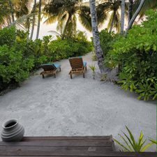 Profile image of Zebule