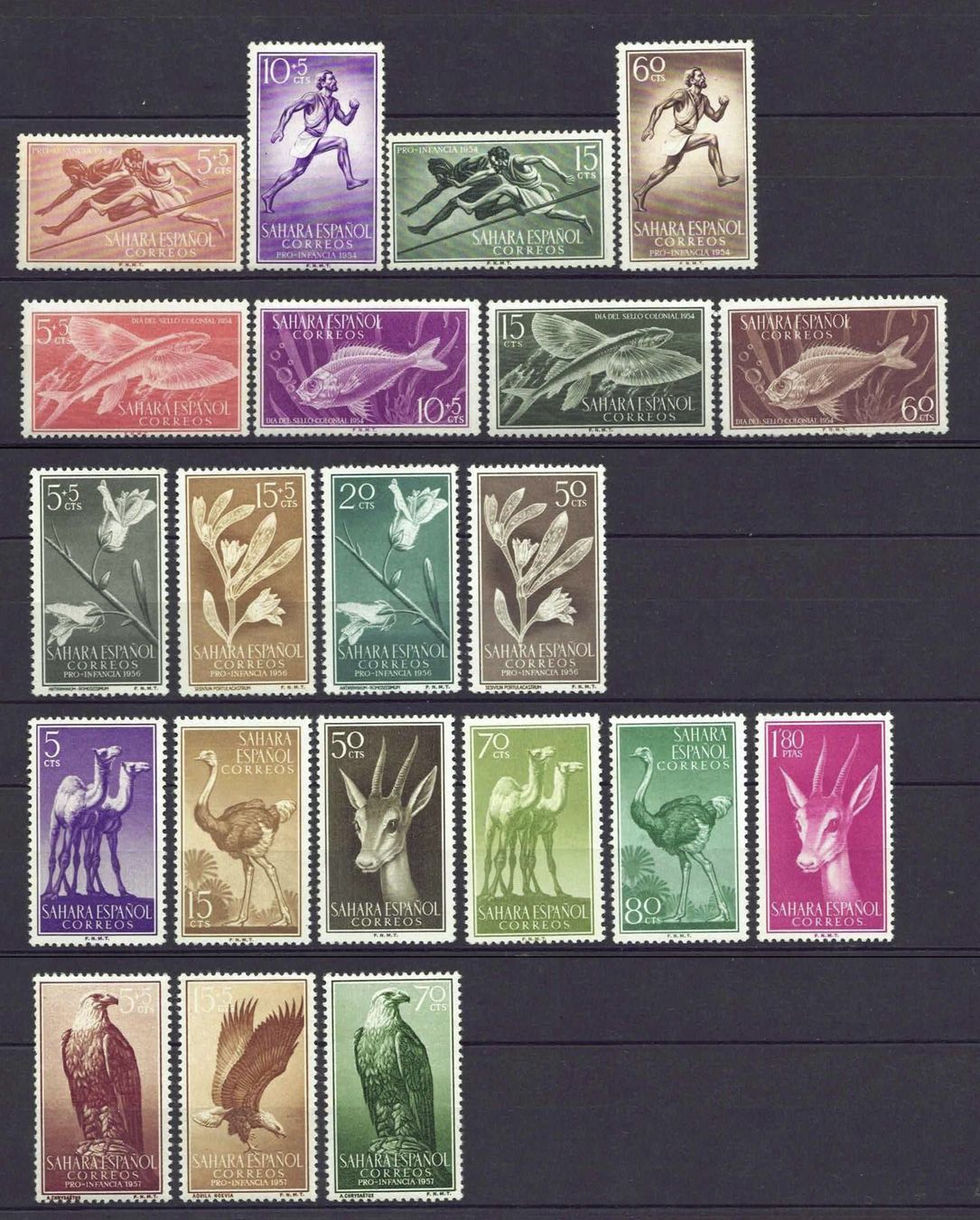 Tutti i francobolli: Span Sahara 1954-1957 5 kompl Sätze postfrisch** – Usato da Basel venduto da Pfefferschootte