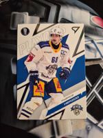 Fabrice Herzog EV Zug Playoffs 2025/26 Sportzoo