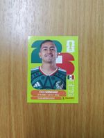 Panini WM 2026 Sticker - MEX 14