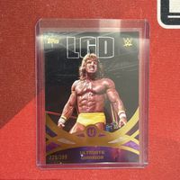 Ultimate Warrior /399 Topps WWE Universe 2026