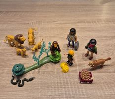 Playmobil Safariset