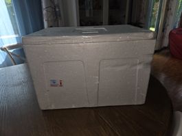 Kühlbox Styropor 52x37x35cm gut erhalten für Sommerfest!
