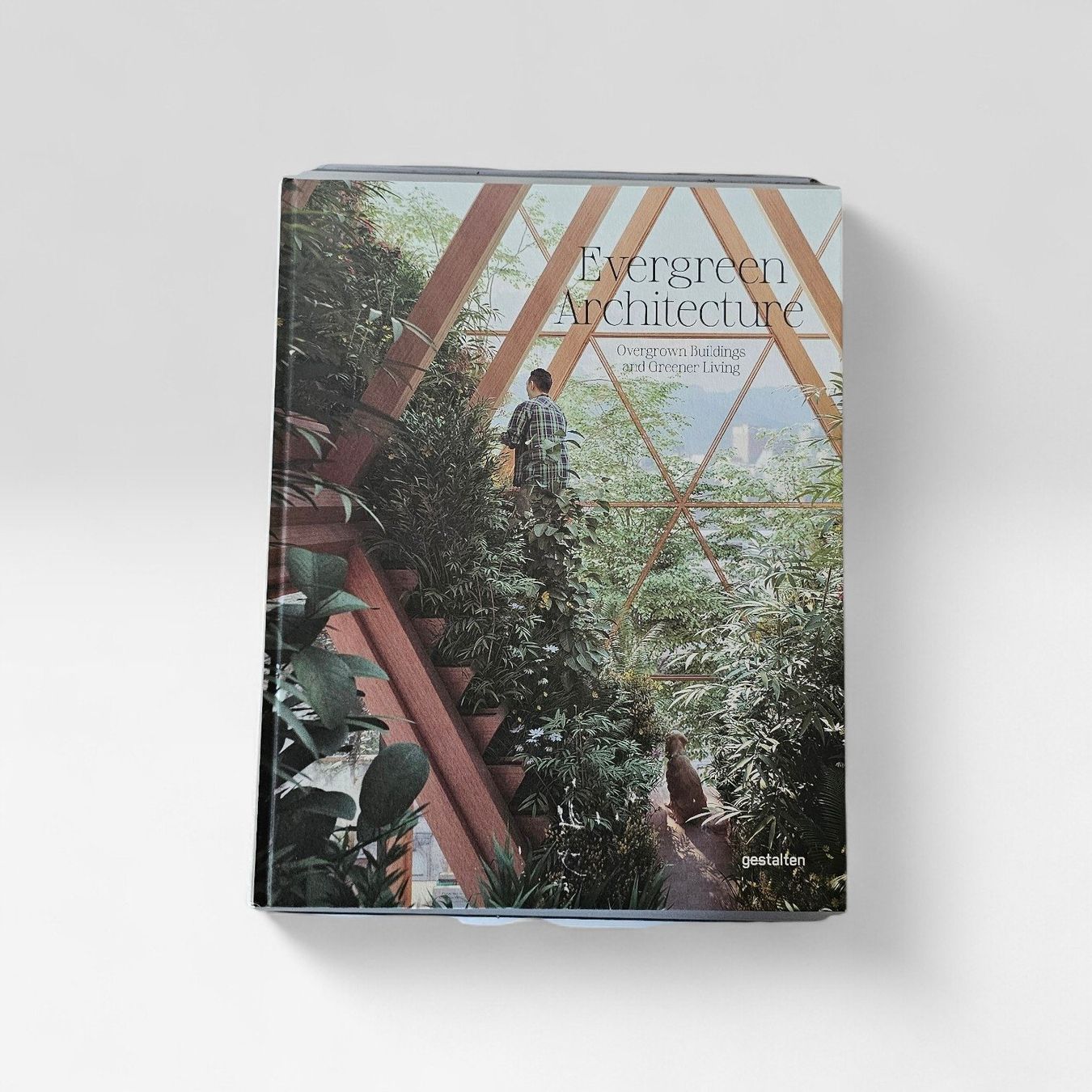 Libri: Architekturbildband: Evergreen Architecture, gestalten – Nuovo (secondo la descrizione) da Schaffhausen venduto da vzi_vzi